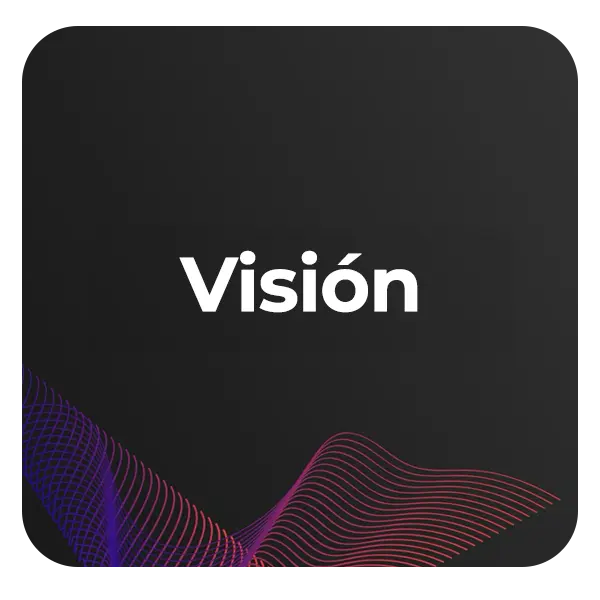 Vision